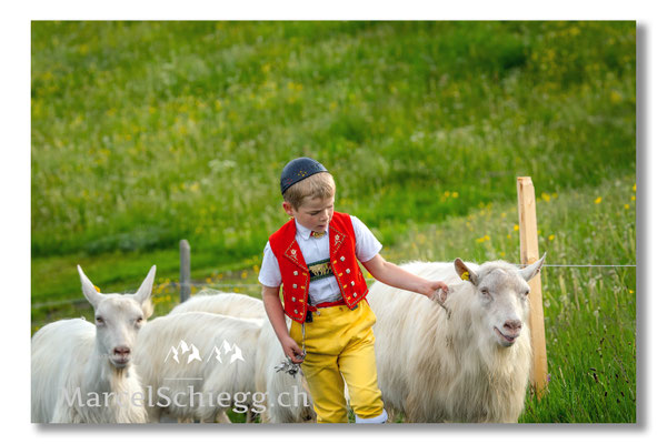 Marcel Schiegg Fotografie, Tradition, Brauchtum, Alpfahrt, Oeberefahre, Appenzell, Appenzellerland, Öberefahre, Alpstein