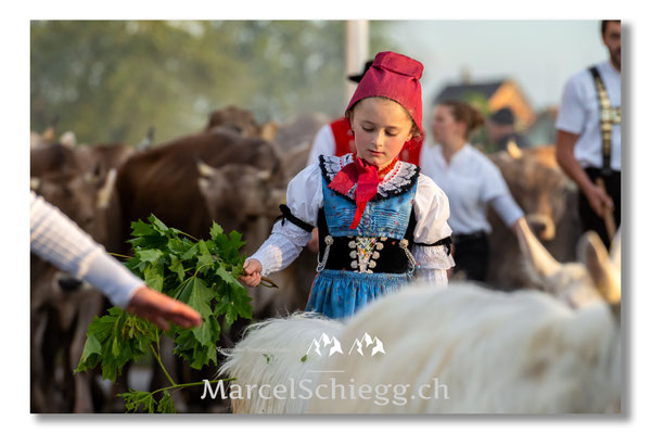 Marcel Schiegg Fotografie, Tradition, Brauchtum, Alpfahrt, Oeberefahre, Appenzell, Appenzellerland, Öberefahre