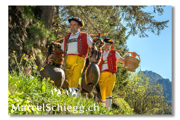 Marcel Schiegg Fotografie, Tradition, Brauchtum, Alpfahrt, Oeberefahre, Appenzell, Appenzellerland, Alpstein, Sämtis, Senntumschellen