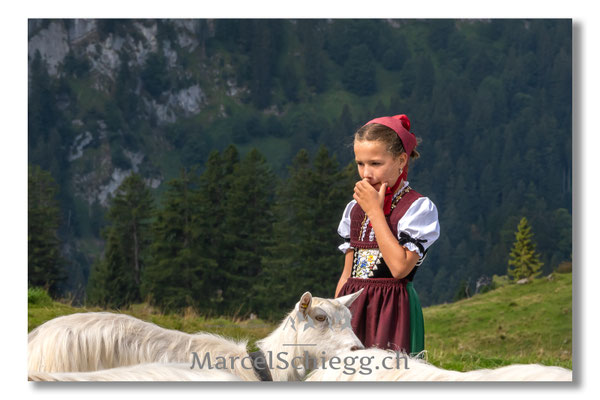 Marcel Schiegg Fotografie, Tradition, Brauchtum, Alpfahrt, Oeberefahre, Appenzell, Appenzellerland, Öberefahre, Alpstein