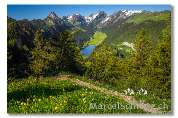 Hoher Kasten/Sämtisersee Art.-Nr. MZ7-8019