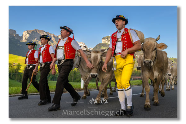 Marcel Schiegg Fotografie, Tradition, Brauchtum, Alpfahrt, Oeberefahre, Appenzell, Appenzellerland, Öberefahre, Alpstein