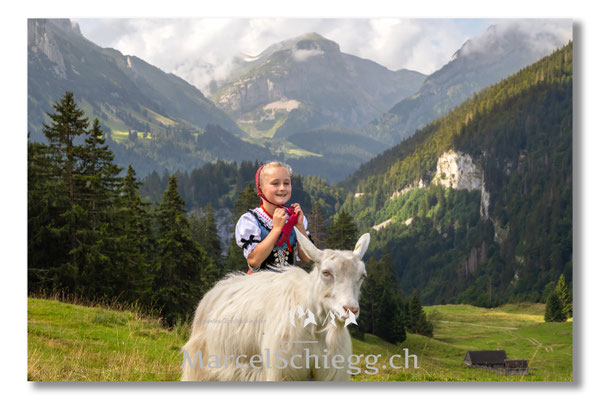 Marcel Schiegg Fotografie, Tradition, Brauchtum, Alpfahrt, Oeberefahre, Appenzell, Appenzellerland, Öberefahre, Alpstein