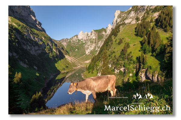 Marcel Schiegg Fotografie, Marcel Schiegg, Faehlensee, Fählensee, Bollenwees, Alpstein