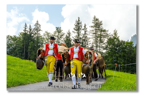 Marcel Schiegg Fotografie, Tradition, Brauchtum, Alpfahrt, Oeberefahre, Appenzell, Appenzellerland, Öberefahre, Alpstein, Senntumschellen