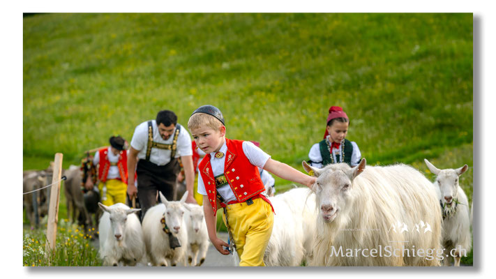 Marcel Schiegg Fotografie, Tradition, Brauchtum, Alpfahrt, Oeberefahre, Appenzell, Appenzellerland, Öberefahre, Alpstein