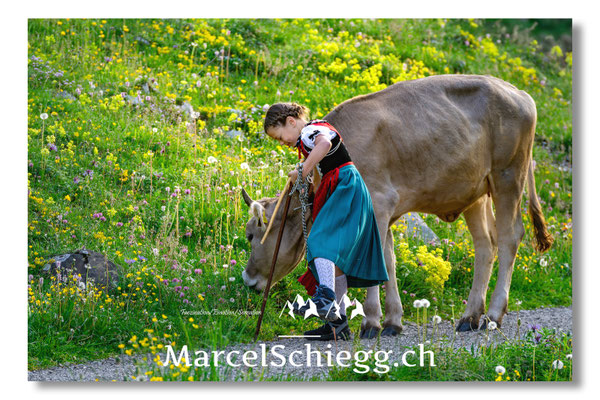Marcel Schiegg, Tradition, Brauchtum, Alpfahrt, Oeberefahre, Appenzell