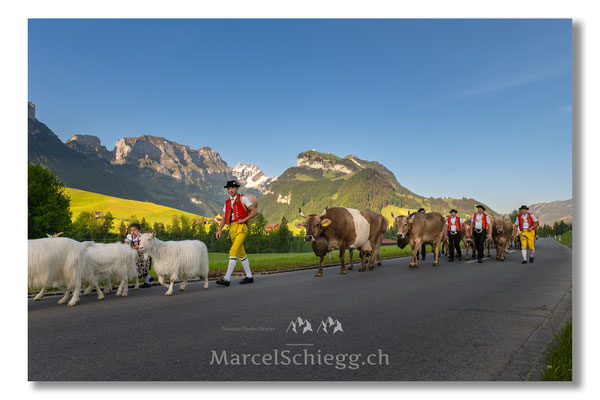 Marcel Schiegg Fotografie, Tradition, Brauchtum, Alpfahrt, Oeberefahre, Appenzell, Appenzellerland, Öberefahre, Alpstein