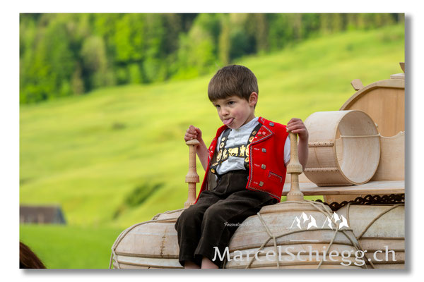 Marcel Schiegg Fotografie, Tradition, Brauchtum, Alpfahrt, Oeberefahre, Appenzell, Appenzellerland, Öberefahre, Lediwagen, Senntum