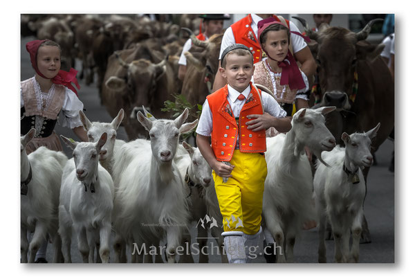 Öberefahre/Alpfahrt Art.-Nr. MS5-5757-September