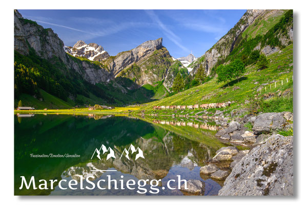 Marcel Schiegg, Seealpsee, Tradition, Brauchtum, Alpfahrt, Oeberefahre, Appenzell