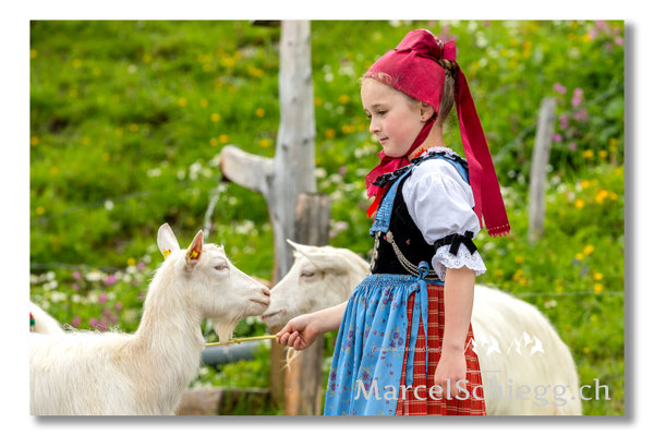 Marcel Schiegg Fotografie, Tradition, Brauchtum, Alpfahrt, Oeberefahre, Appenzell, Appenzellerland, Öberefahre, Alpstein