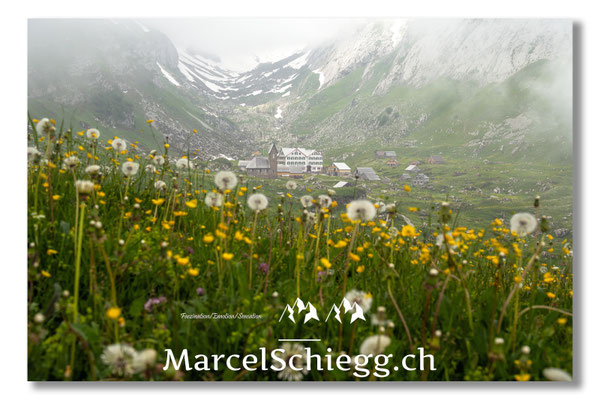 Meglisalp Art.-Nr. MZ7-8371