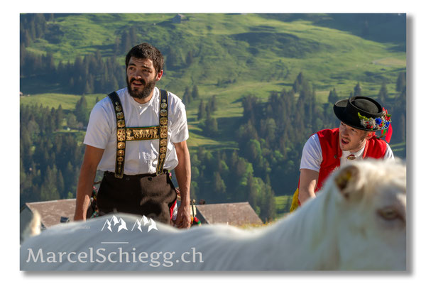 Marcel Schiegg Fotografie, Tradition, Brauchtum, Alpfahrt, Oeberefahre, Appenzell, Appenzellerland, Öberefahre, Alpstein