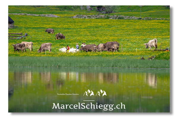 Marcel Schiegg Fotografie, Seealpsee, Alpstein, Tradition, Brauchtum, Alpfahrt, Oeberefahre, Appenzell