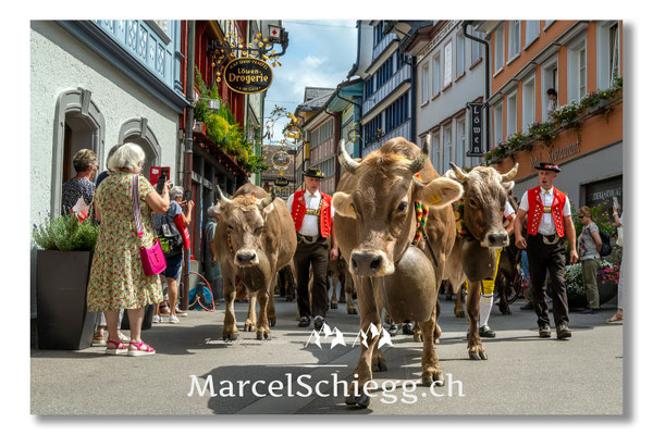 Marcel Schiegg Fotografie, Tradition, Brauchtum, Alpfahrt, Oeberefahre, Appenzell, Appenzellerland, Öberefahre, Hauptgasse