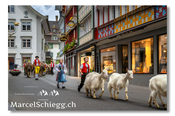 Marcel Schiegg Fotografie, Tradition, Brauchtum, Alpfahrt, Oeberefahre, Appenzell, Appenzellerland, Hauptgasse, Öberefahre