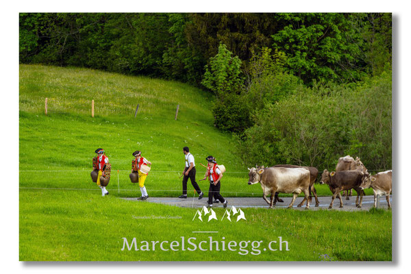 Marcel Schiegg Fotografie, Tradition, Brauchtum, Alpfahrt, Oeberefahre, Appenzell, Appenzellerland, Öberefahre, Alpstein