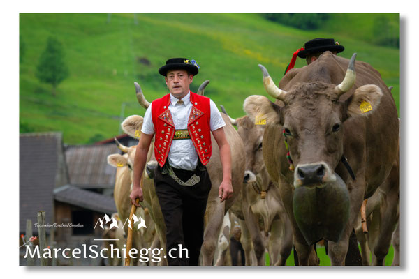 Marcel Schiegg Fotografie, Tradition, Brauchtum, Alpfahrt, Oeberefahre, Appenzell, Appenzellerland, Öberefahre