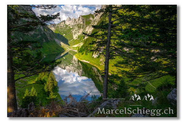 Marcel Schiegg Fotografie, Marcel Schiegg, Faehlensee, Fählensee, Bollenwees, Alpstein
