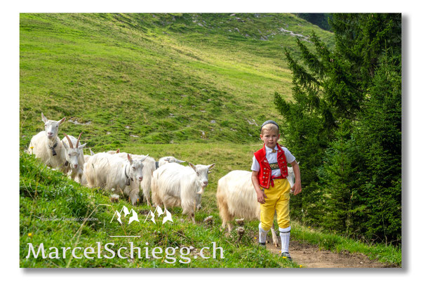 Marcel Schiegg Fotografie, Tradition, Brauchtum, Alpfahrt, Oeberefahre, Appenzell, Appenzellerland, Öberefahre, Alpstein