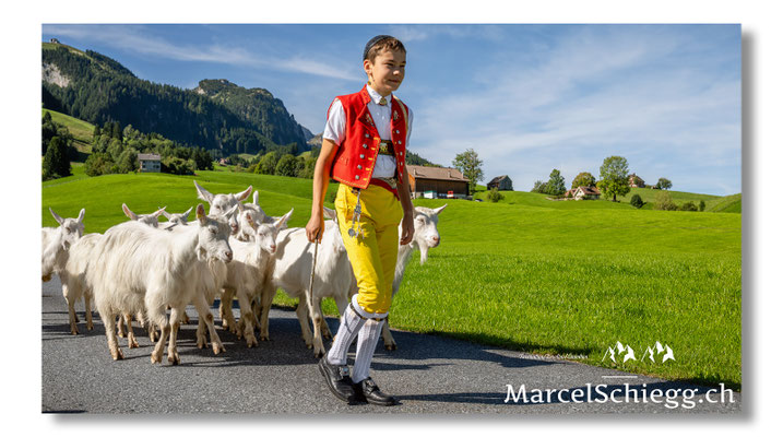 Marcel Schiegg Fotografie, Tradition, Brauchtum, Alpfahrt, Oeberefahre, Appenzell, Appenzellerland, Öberefahre, Alpstein