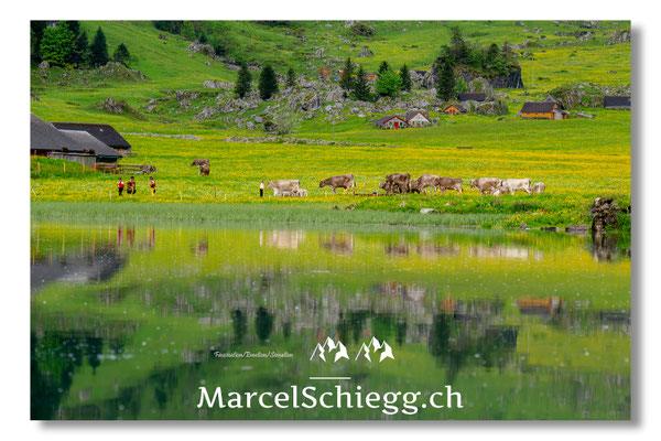 Marcel Schiegg Fotografie, Seealpsee, Alpstein, Tradition, Brauchtum, Alpfahrt, Oeberefahre, Appenzell