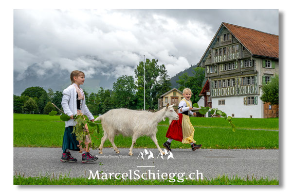 Marcel Schiegg Fotografie, Tradition, Brauchtum, Alpfahrt, Oeberefahre, Appenzell