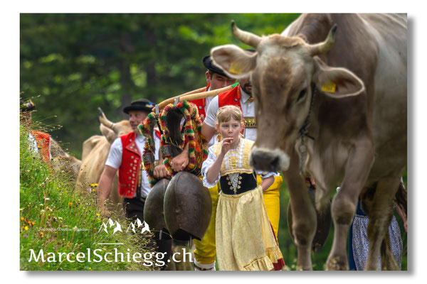 Marcel Schiegg Fotografie, Seealp, Alpstein, Tradition, Brauchtum, Alpfahrt, Oeberefahre, Appenzell, Senntumschellen