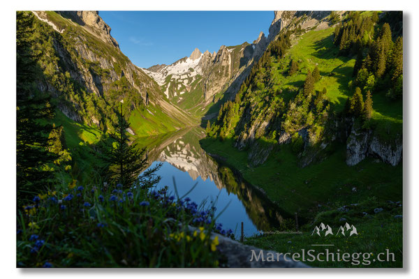 Marcel Schiegg Fotografie, Marcel Schiegg, Faehlensee, Fählensee, Bollenwees, Alpstein