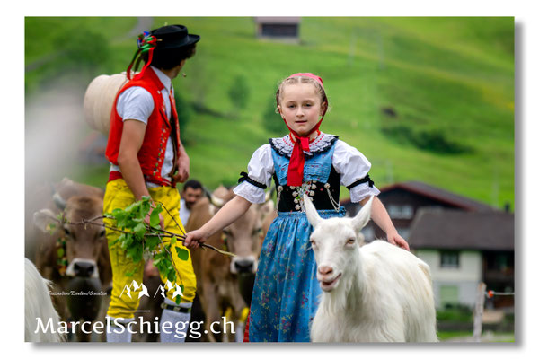 Marcel Schiegg Fotografie, Tradition, Brauchtum, Alpfahrt, Oeberefahre, Appenzell, Appenzellerland, Öberefahre