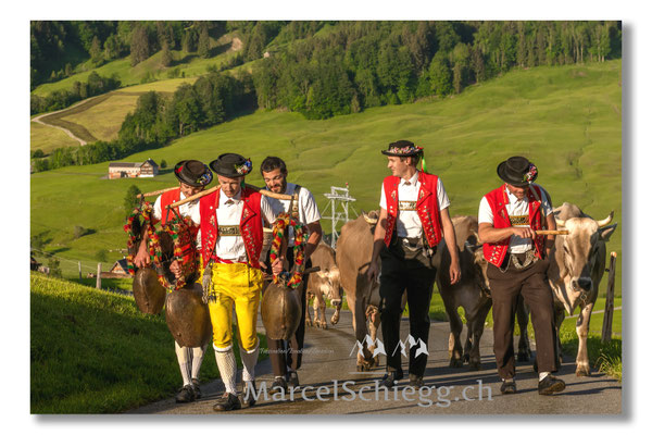 Marcel Schiegg Fotografie, Tradition, Brauchtum, Alpfahrt, Oeberefahre, Appenzell, Appenzellerland, Öberefahre, Alpstein