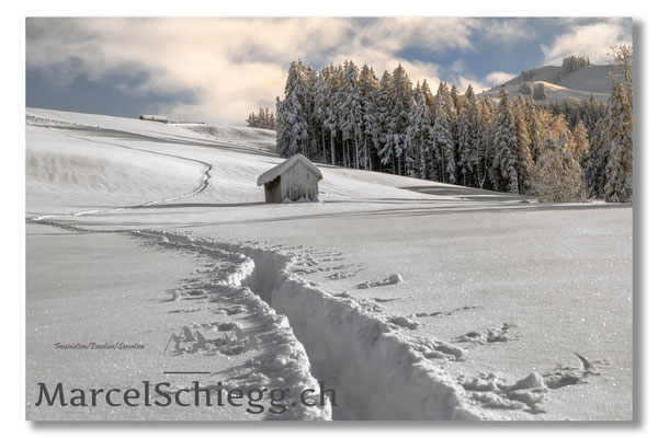 Appenzellerland/Winterimpressionen Art.-Nr. MZ7-5886