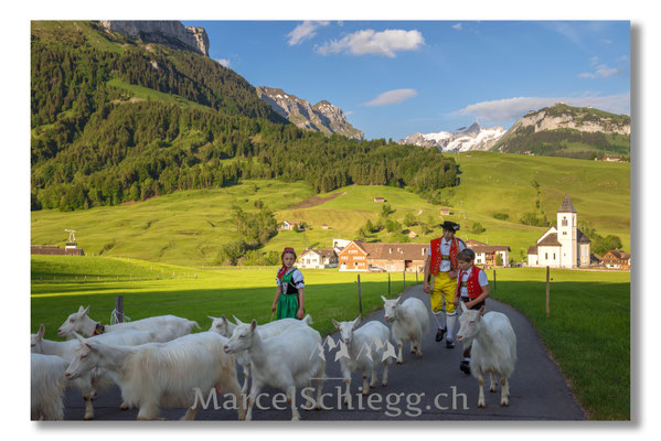 Marcel Schiegg Fotografie, Tradition, Brauchtum, Alpfahrt, Oeberefahre, Appenzell, Appenzellerland, Öberefahre