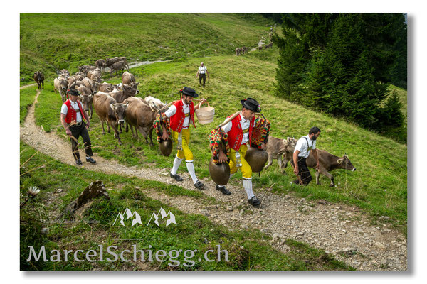 Marcel Schiegg Fotografie, Tradition, Brauchtum, Alpfahrt, Oeberefahre, Appenzell, Appenzellerland, Öberefahre, Alpstein