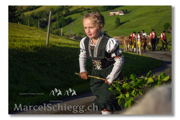 Öberefahre, Alpfahrt, Appenzell, Brauchtum