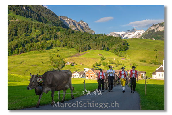 Marcel Schiegg Fotografie, Tradition, Brauchtum, Alpfahrt, Oeberefahre, Appenzell, Appenzellerland, Öberefahre, Alpstein