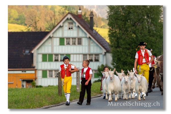 Marcel Schiegg Fotografie, Tradition, Brauchtum, Alpfahrt, Oeberefahre, Appenzell, Appenzellerland, Öberefahre, Alpstein