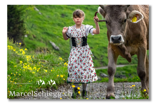Marcel Schiegg Fotografie, Alpstein, Tradition, Brauchtum, Alpfahrt, Oeberefahre, Appenzell