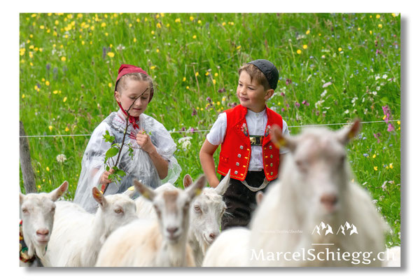 Marcel Schiegg Fotografie, Tradition, Brauchtum, Alpfahrt, Oeberefahre, Appenzell, Appenzellerland, Öberefahre