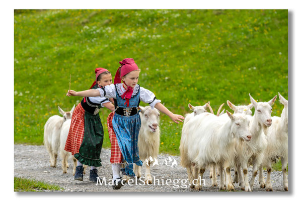 Marcel Schiegg Fotografie, Tradition, Brauchtum, Alpfahrt, Oeberefahre, Appenzell, Appenzellerland, Öberefahre, Alpstein