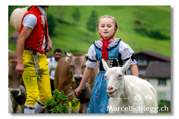 Marcel Schiegg Fotografie, Tradition, Brauchtum, Alpfahrt, Oeberefahre, Appenzell, Appenzellerland, Öberefahre