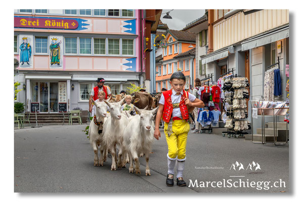Marcel Schiegg Fotografie, Tradition, Brauchtum, Alpfahrt, Oeberefahre, Appenzell, Hauptgasse