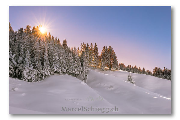 Alpstein/Winterimpressionen Art.-Nr. MS8-5214-Januar