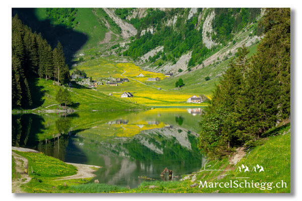 Seealpsee Art.-Nr. MS5-1394