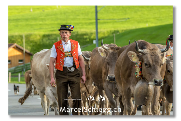 Marcel Schiegg Fotografie, Tradition, Brauchtum, Alpfahrt, Oeberefahre, Appenzell, Appenzellerland