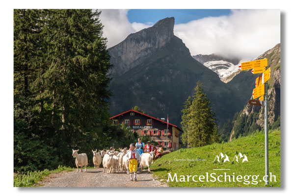 Marcel Schiegg Fotografie, Tradition, Brauchtum, Alpfahrt, Oeberefahre, Appenzell, Berggasthaus Seealpsee, Seealp, Alpstein