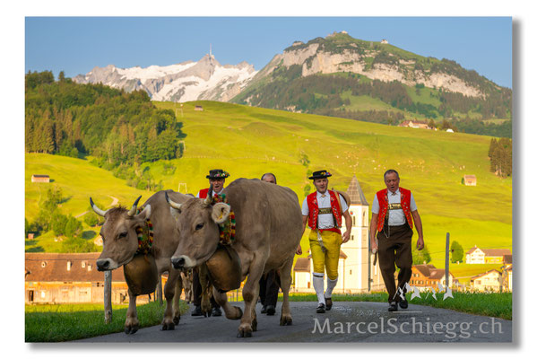 Marcel Schiegg Fotografie, Tradition, Brauchtum, Alpfahrt, Oeberefahre, Appenzell, Appenzellerland, Öberefahre, Alpstein