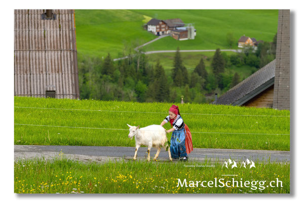 Marcel Schiegg Fotografie, Tradition, Brauchtum, Alpfahrt, Oeberefahre, Appenzell, Appenzellerland, Öberefahre, Alpstein