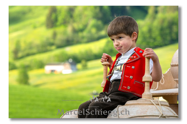 Marcel Schiegg Fotografie, Tradition, Brauchtum, Alpfahrt, Oeberefahre, Appenzell, Appenzellerland, Öberefahre, Lediwagen